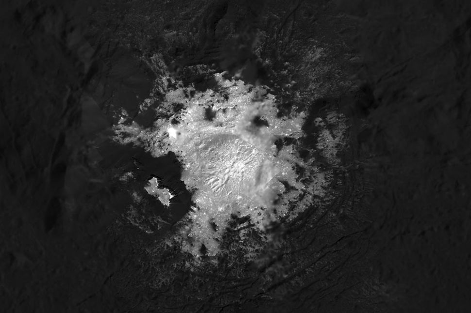 Cerealia Facula на дне кратера Оккатор