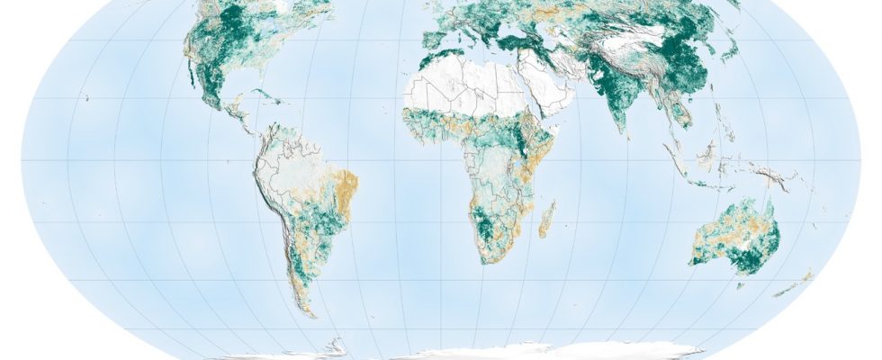 Карта озеленения мира