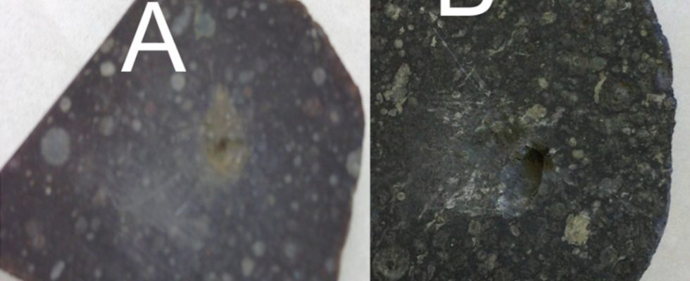 Метеориты Acfer 086 и Allende