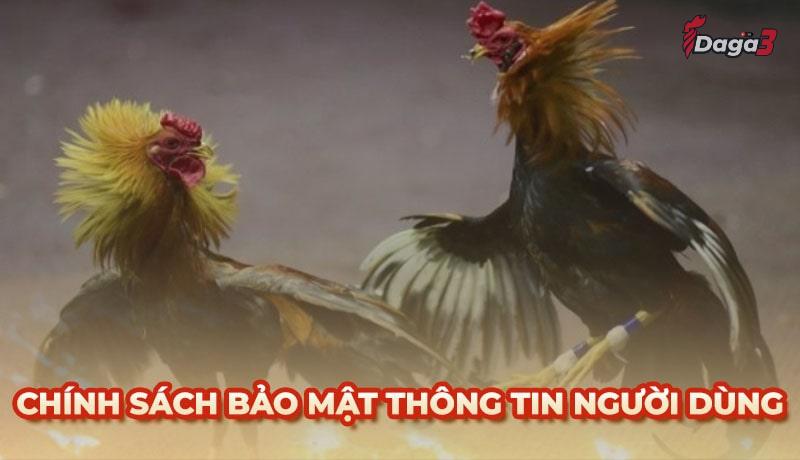 Chính sách bảo mật thông tin người dùng tại ruspace.live