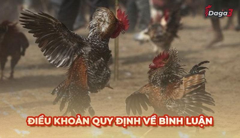 Người dùng cần tuân thủ một số điều khoản khi bình luận trên ruspace.live