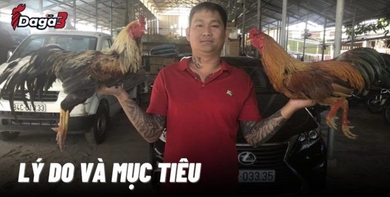 Mít Trà Cú sáng lập trang đá gà trực tiếp ruspace.live